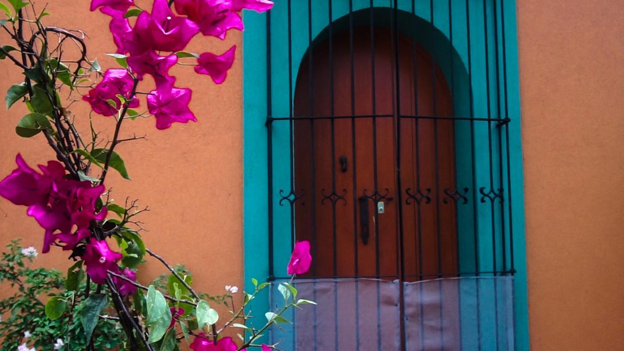 Casa Frida B&B Oaxaca Zewnętrze zdjęcie